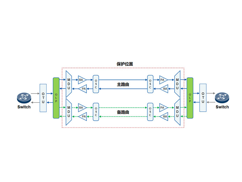 100G保護(hù)方案